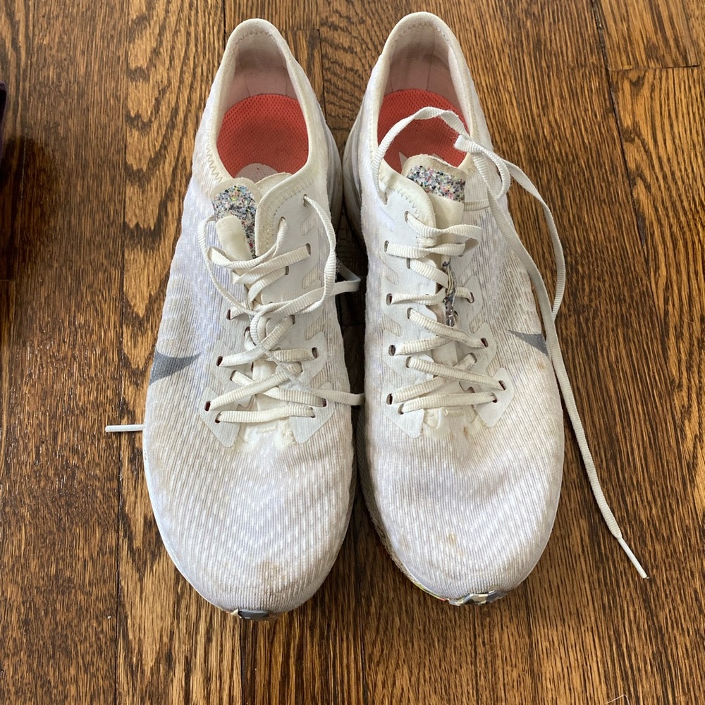 Nike Pegasus Zoom shoe